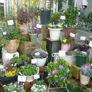 画像の名前を入力