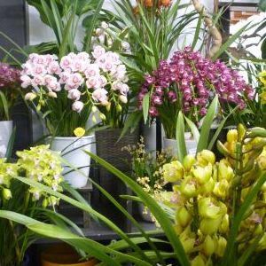 画像の名前を入力