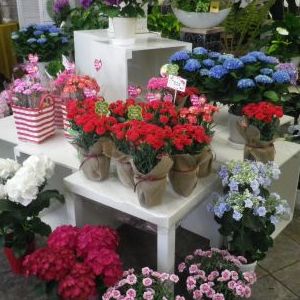 画像の名前を入力