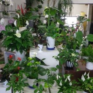 画像の名前を入力