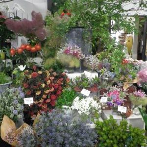 画像の名前を入力