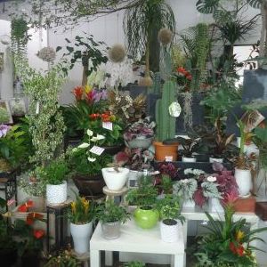 画像の名前を入力