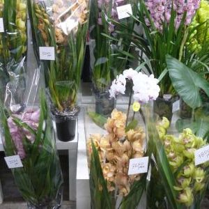 画像の名前を入力