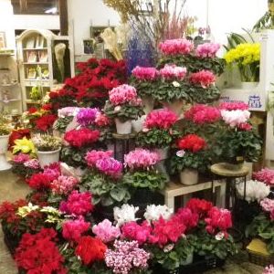 画像の名前を入力