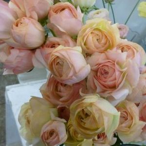 画像の名前を入力