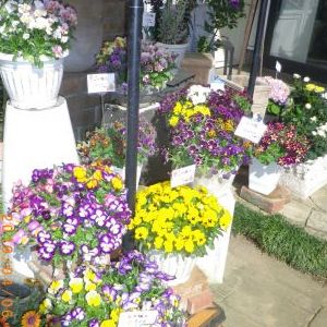 画像の名前を入力