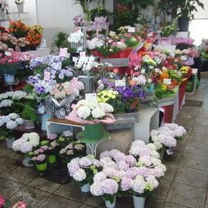 画像の名前を入力