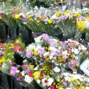 画像の名前を入力