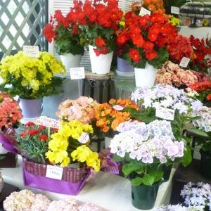 画像の名前を入力