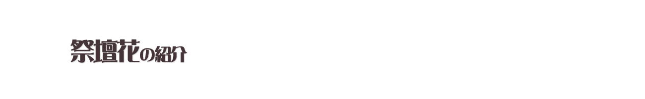 祭壇花の紹介