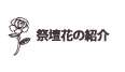 祭壇花の紹介へ移動